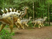 dinozaury ssaki prehistoryczne zwierzęta epoki lodowcowej pracownia modeli 04