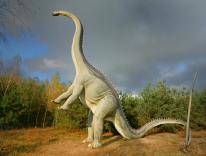 dinozaury ssaki prehistoryczne zwierzęta epoki lodowcowej pracownia modeli 05