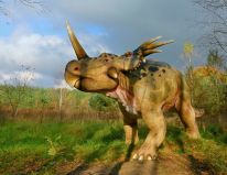dinozaury ssaki prehistoryczne zwierzęta epoki lodowcowej pracownia modeli 06