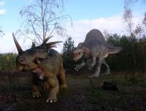 dinozaury ssaki prehistoryczne zwierzęta epoki lodowcowej pracownia modeli 16