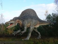 dinozaury ssaki prehistoryczne zwierzęta epoki lodowcowej pracownia modeli 17