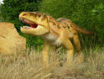 dinozaury ssaki prehistoryczne zwierzęta epoki lodowcowej pracownia modeli 24
