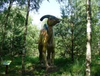 dinozaury ssaki prehistoryczne zwierzęta epoki lodowcowej pracownia modeli 31